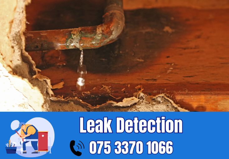 leak detection Gillingham